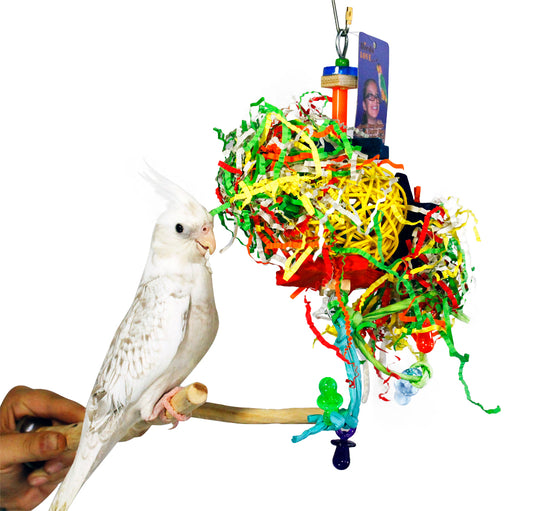 Birds LOVE Starry Mess