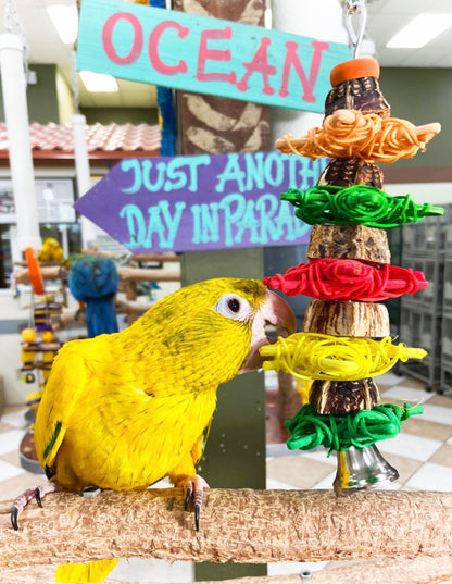Birds LOVE Wicker Stars and Mahogany Wood Toy