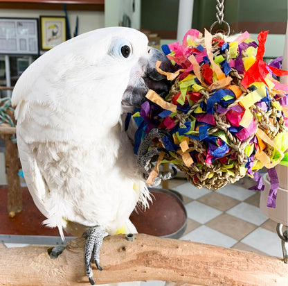 Birds LOVE Super Shredding Large Ball Parrot Toy, Foraging Toy w Hidden Treasures