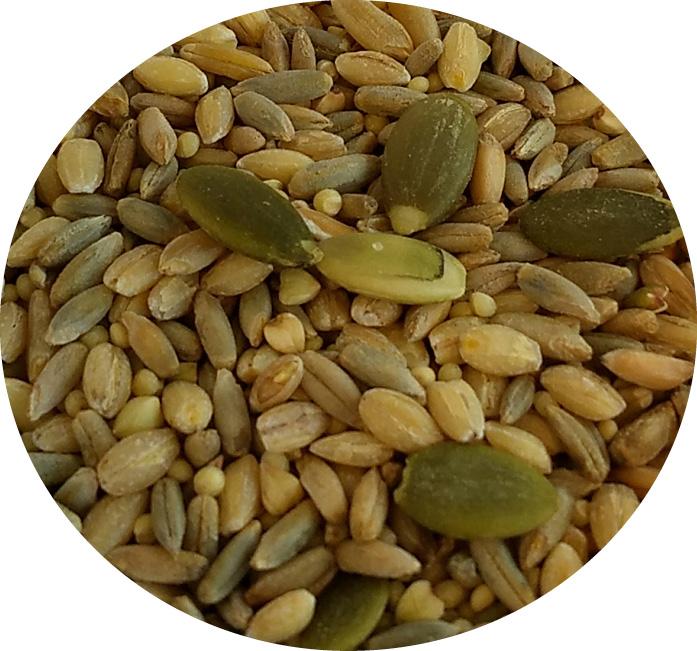 TOP's Organic and GMO-Free on All Tops Listing Titles All-in-One Seed Mix, 5 lb