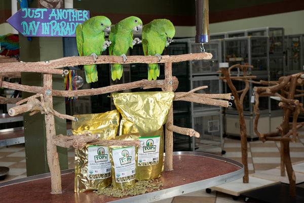 TOP's Organic and GMO-Free on All Tops Listing Titles Parrot Pellets for All Size Hookbills - 10lb