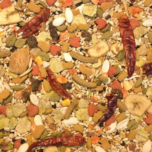 Higgins Vita Seed California Blend for Parrots, 5 lbs