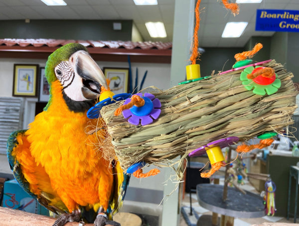 Birds LOVE Coconut Fiber Burrito Parrot Toy