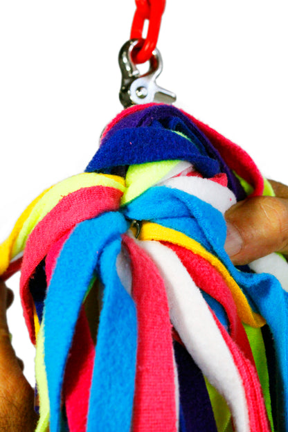 Birds LOVE Squiddly Diddly