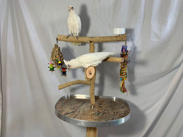 BIRDS LOVE PLAYGYM-BOTTLEBRUSH BIRD CAGE PERCH MED