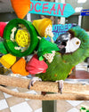 Birds LOVE Flower Crown Parrot Toy
