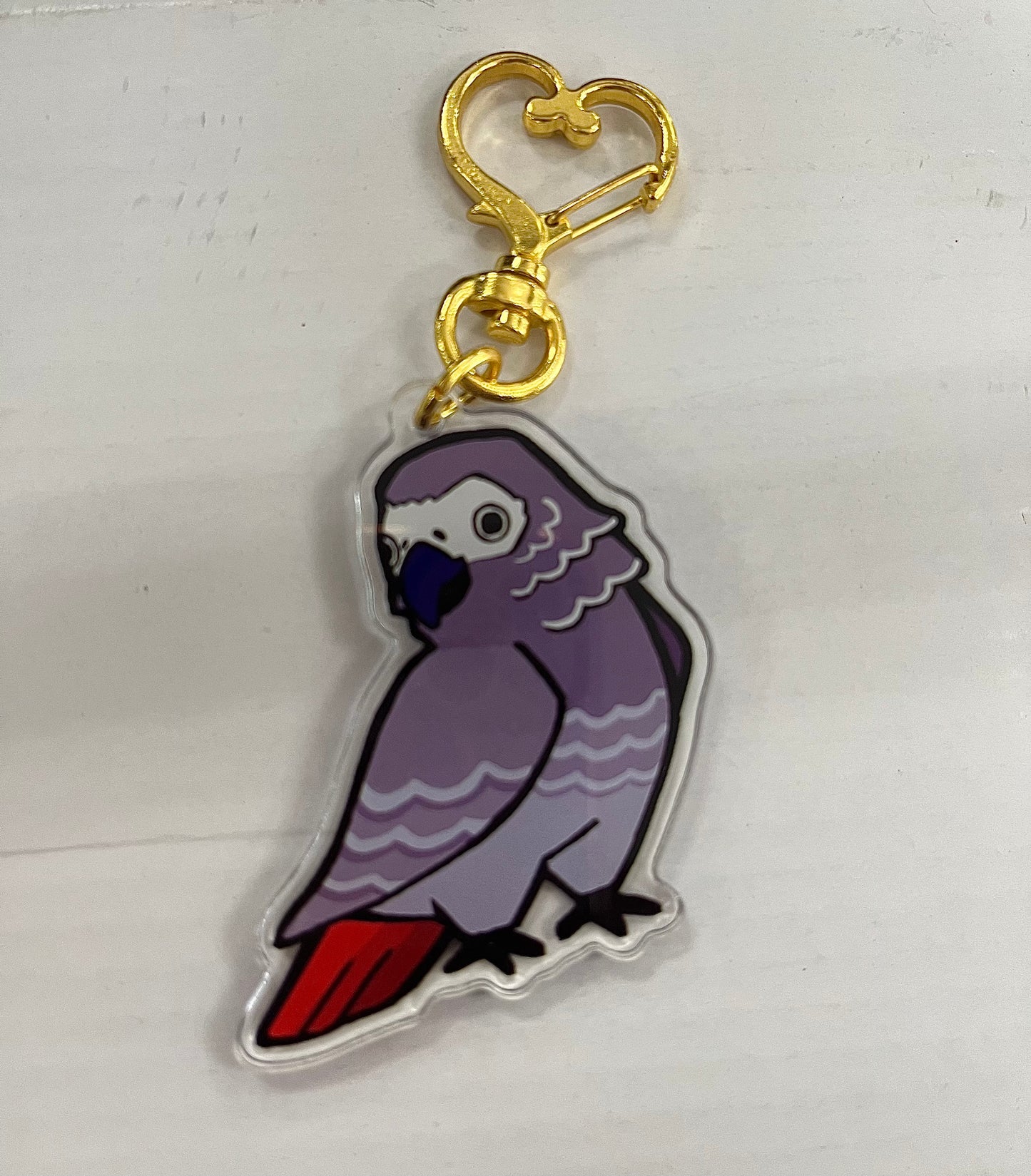CHARM-AFRICAN GREY