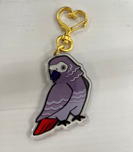 CHARM-AFRICAN GREY