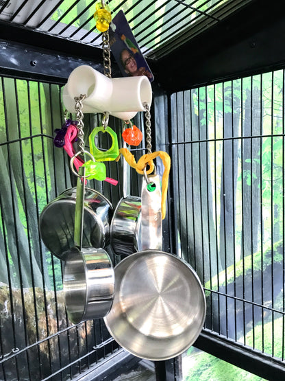 Birds LOVE The Kitchen Sink