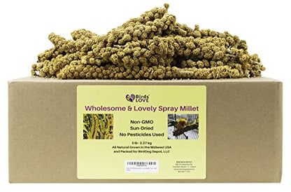 Birds LOVE Wholesome & Lovely Spray Millet 5lb