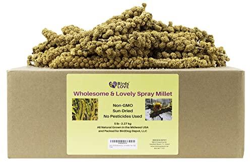 Birds LOVE Wholesome & Lovely Spray Millet 5lb