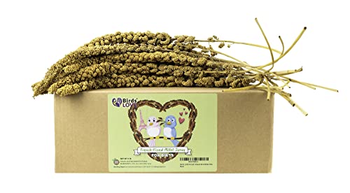 Birds LOVE French Kissed Bird Millet 5lb