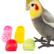 6PK FOOT TOYS CROCKS