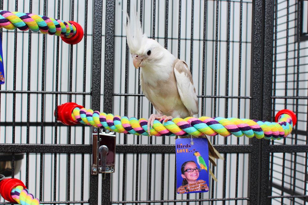 Birds LOVE Cotton Rope Perch, 3/4" x22"