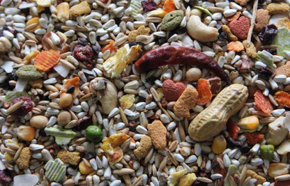 Higgins Safflower Gold Parrot Hookbill Bird Food 25lb