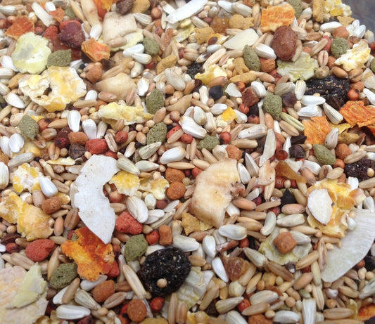 Higgins Safflower Gold Natural Food Mix for Conures & Cockatiels, 3 lbs