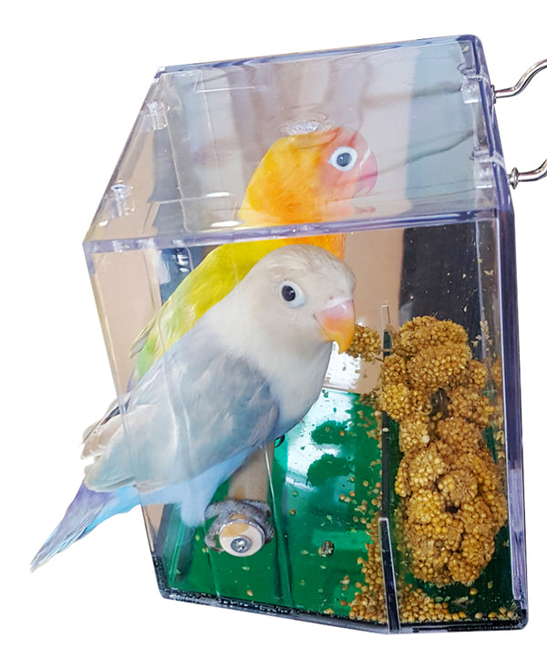Birds LOVE The Seed Stops Here No Mess Feeder