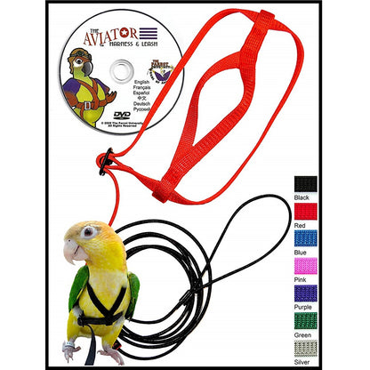 Aviator Harness and Leash Petite Black
