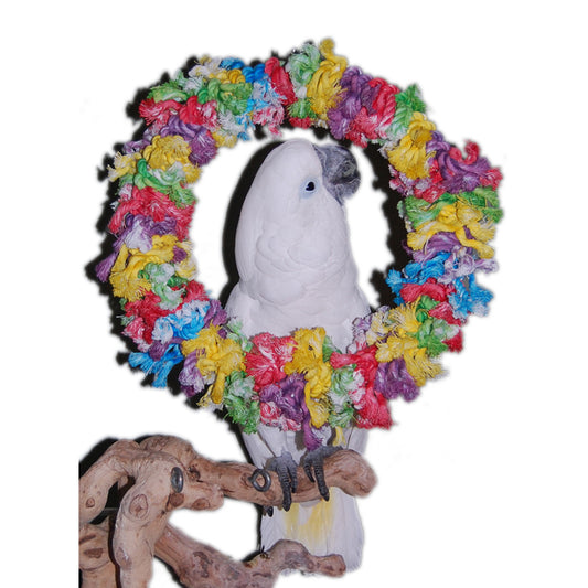 Cotton Wreath Large
