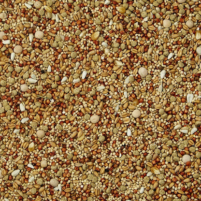 Kaytee Supreme Dove Food, 5 lbs