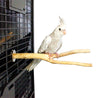 Birds love Handcrafted Small Multi-branch Coffeewood Perch