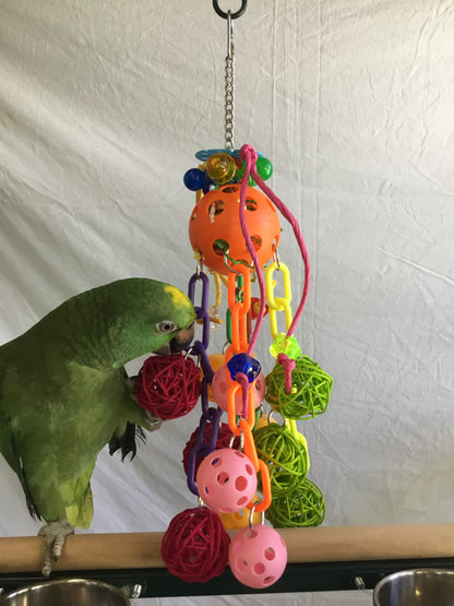 Birds LOVE Solar Fun