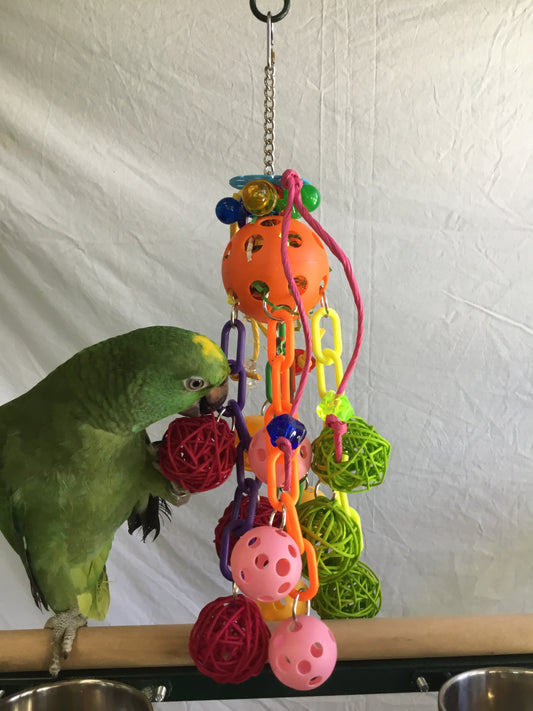 Birds LOVE Solar Fun