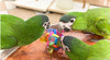 Birds LOVE Binkies Foot Parrot Toy, Cage or Playgym, Pacifiers and Rubber Woven Stars for Medium Birds