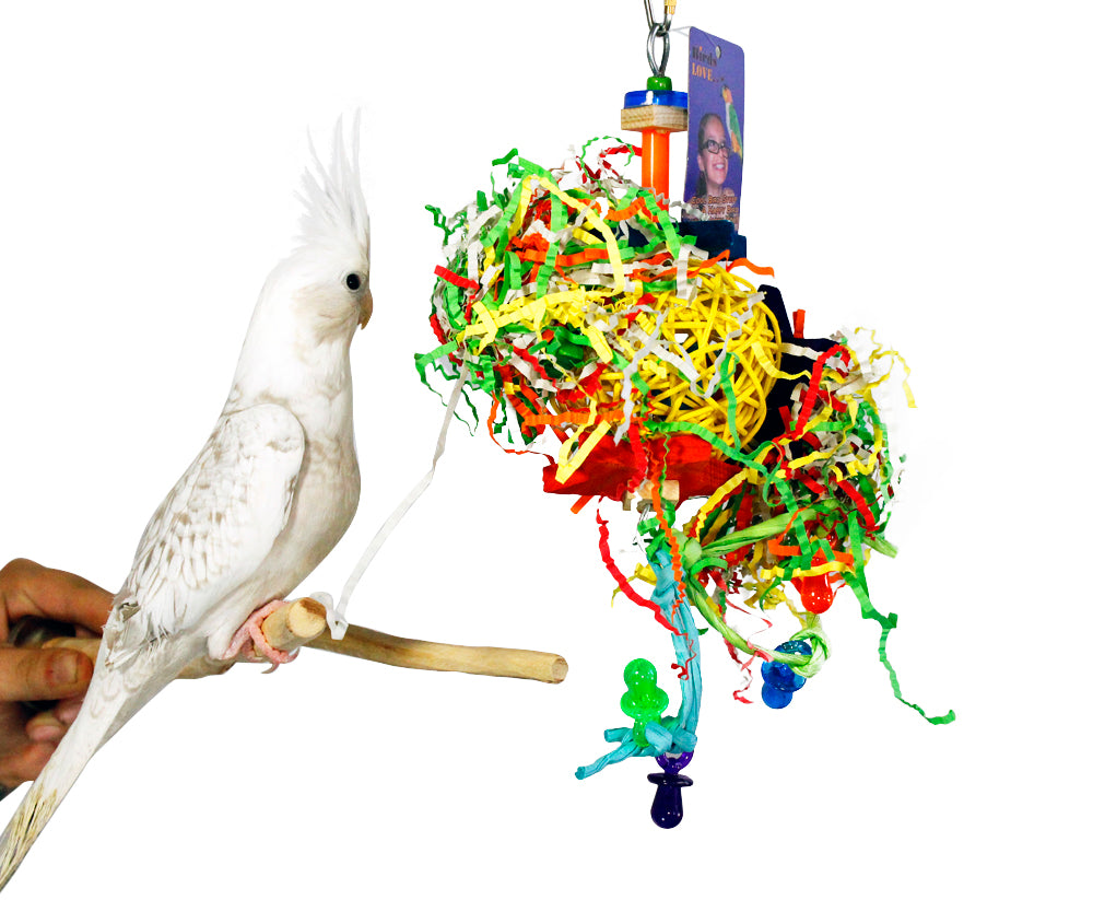 Birds love Starry Mess