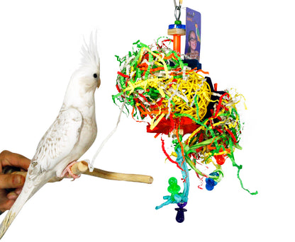 Birds love Starry Mess