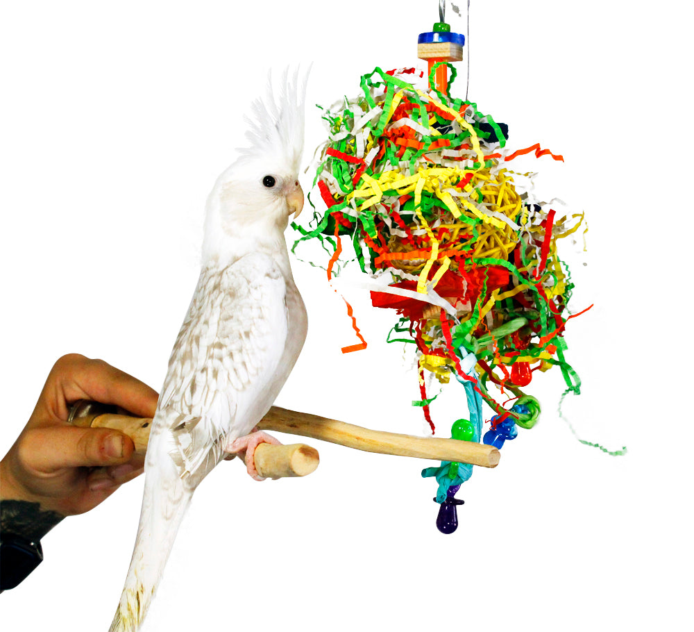 Birds love Starry Mess
