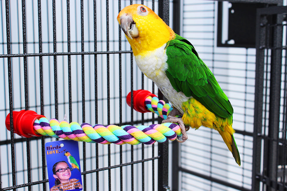 Cotton Perch, 3/4" x 14"