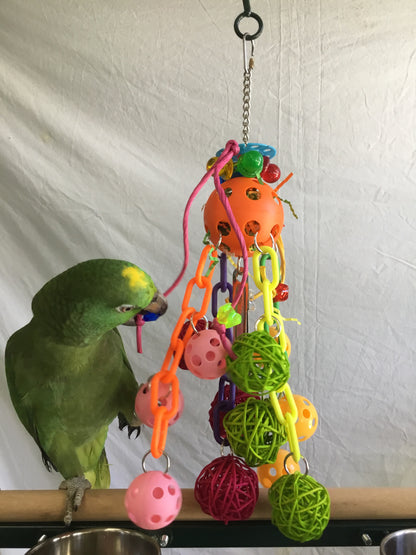Birds LOVE Solar Fun