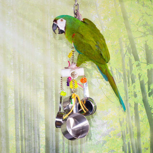 Birds LOVE The Kitchen Sink