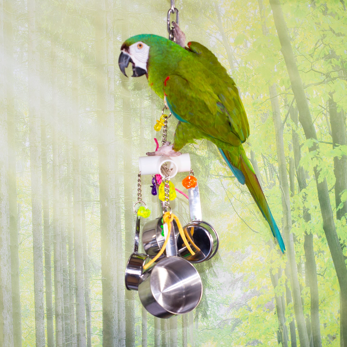Birds LOVE The Kitchen Sink