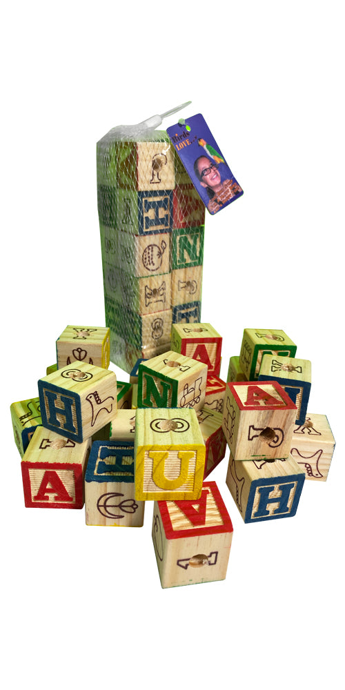 LG ABC Blocks 1inx1/8in 24pc