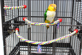 Birds LOVE Cotton Rope Perch, 3/4