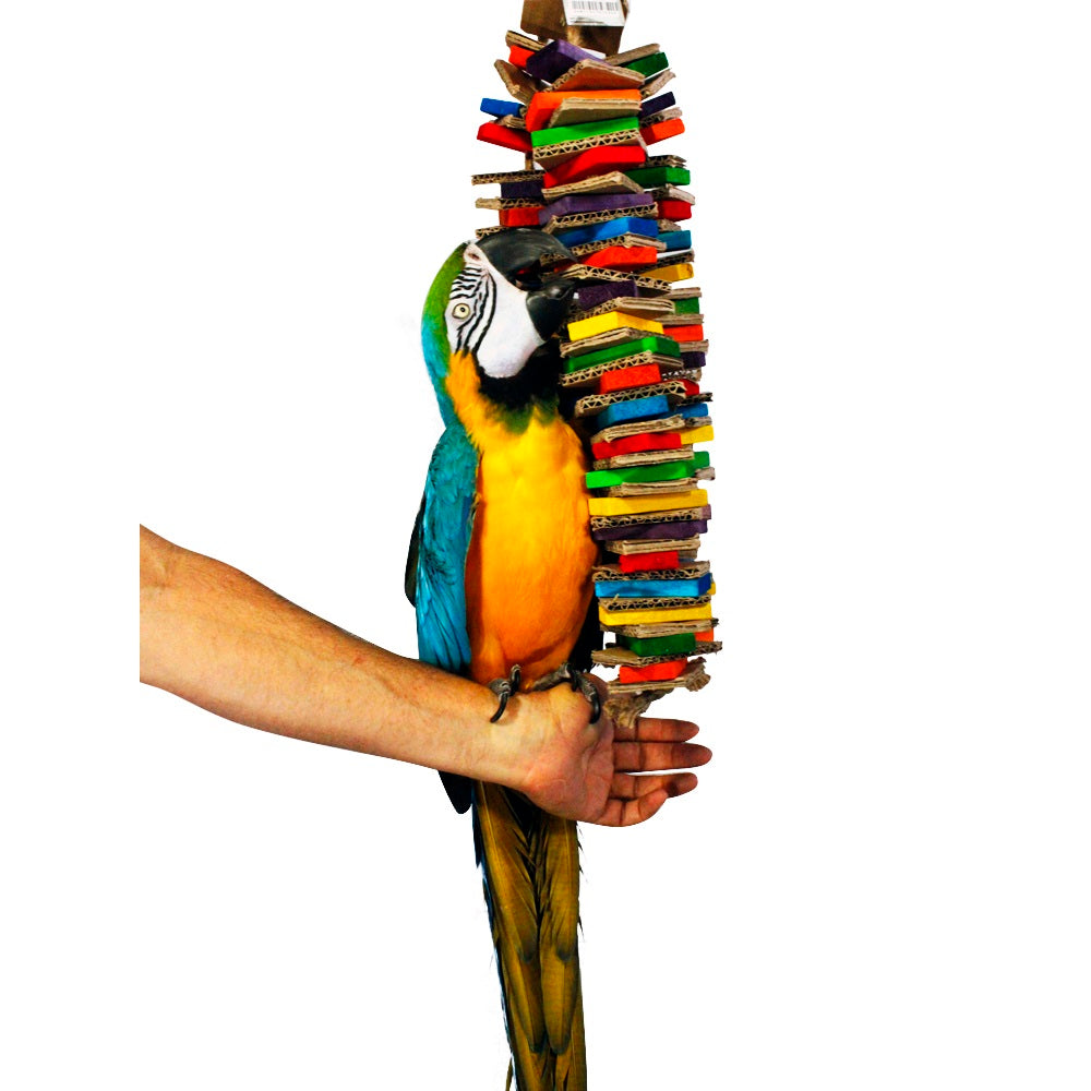 loving bird  BIRDS LOVE | Chew-Tastic Triple Tower | Golden Cockatoo