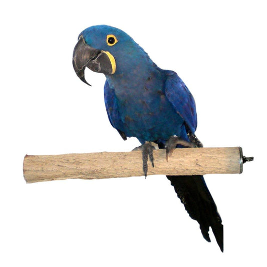 Bottlebrush Perch, X-Large