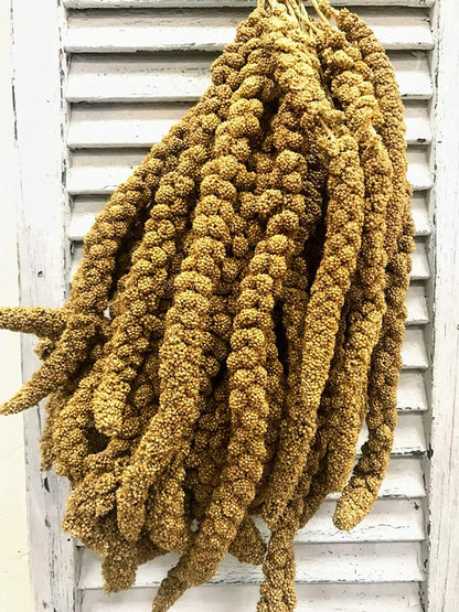 Nemeth Farms Worlds Freshest Spray Millet The Original Bird Treat and Supplement for All Pet Birds Especially Parakeets, Cockatiels, Lovebirds and Finches