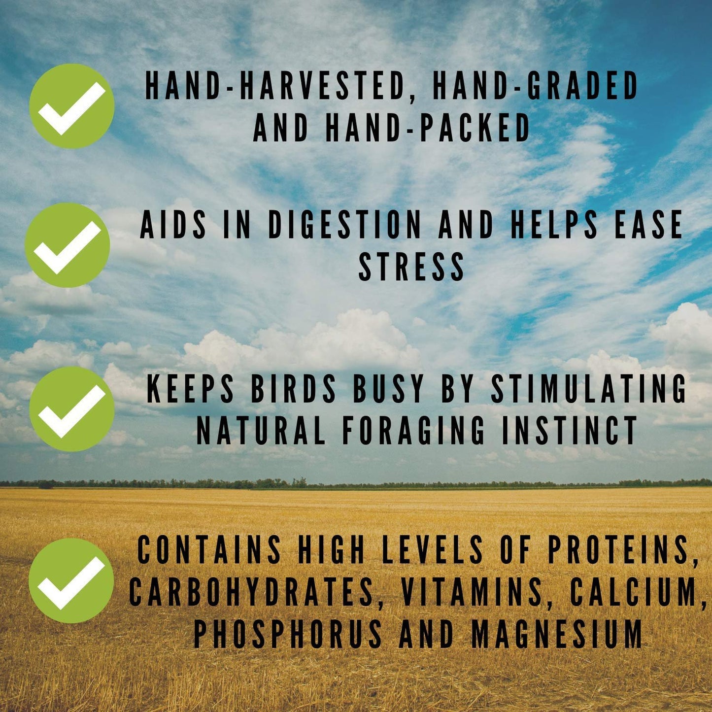 Nemeth Farms Worlds Freshest Spray Millet The Original Bird Treat and Supplement for All Pet Birds Especially Parakeets, Cockatiels, Lovebirds and Finches (1 lb)