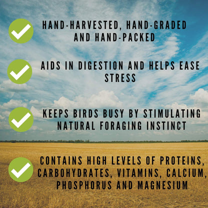 Nemeth Farms Worlds Freshest Spray Millet The Original Bird Treat and Supplement for All Pet Birds Especially Parakeets, Cockatiels, Lovebirds and Finches (1 lb)