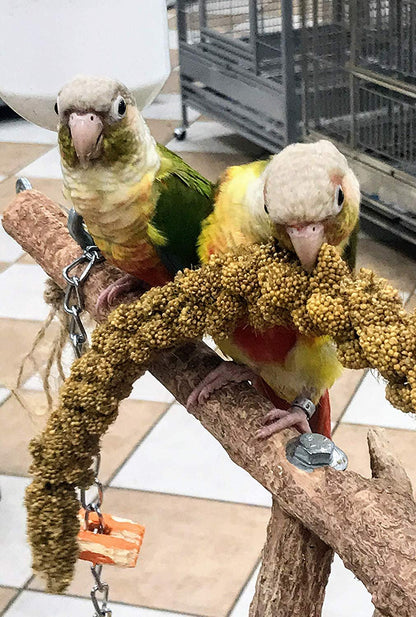 Nemeth Farms Worlds Freshest Spray Millet The Original Bird Treat and Supplement for All Pet Birds Especially Parakeets, Cockatiels, Lovebirds and Finches (1 lb)