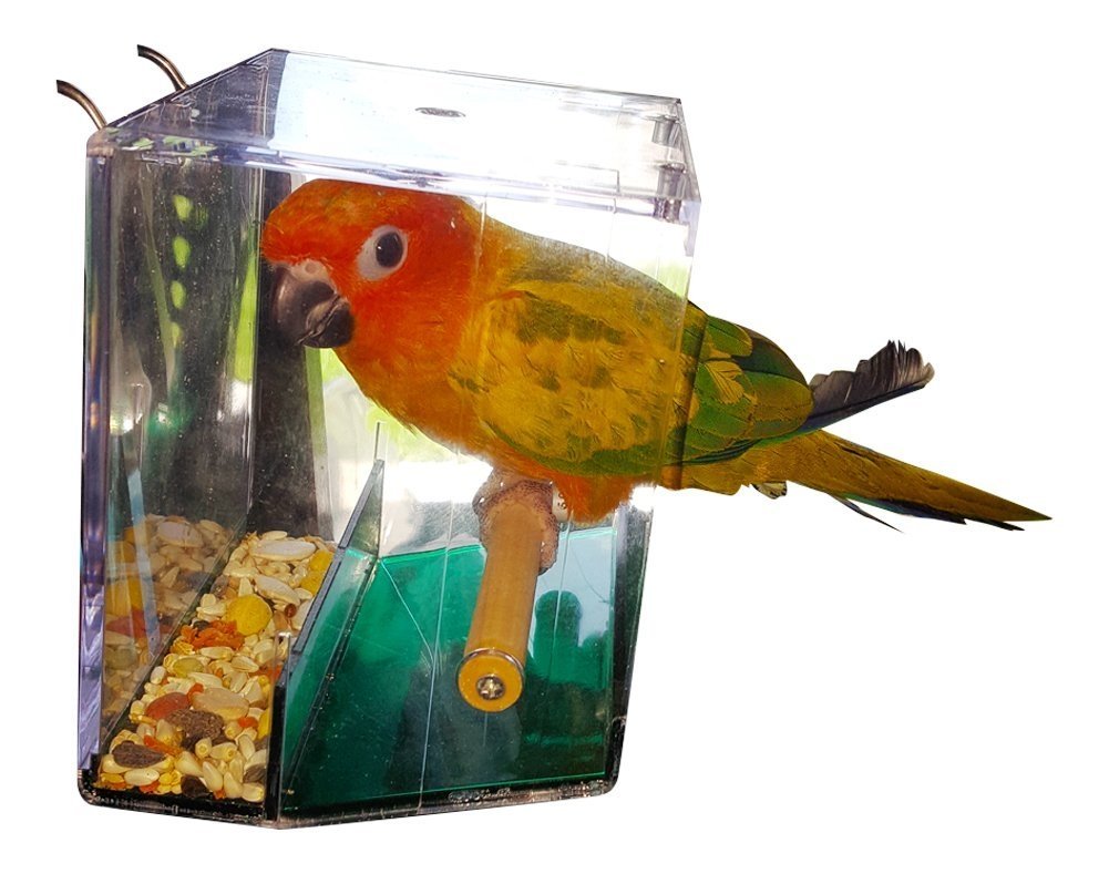Birds LOVE No Mess Bird Feeder