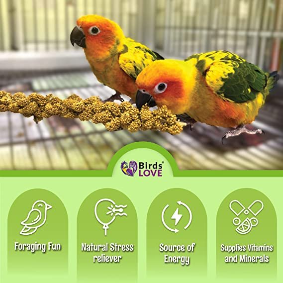 Nemeth Farms–Natural Sun Dried Millet Spray for Pet Birds–Bul2k Parrot Seed Treats and Parrot Food–Natural Non GMO Millet Spray–Cockatiels Lovebirds Parakeet 2 lbs.