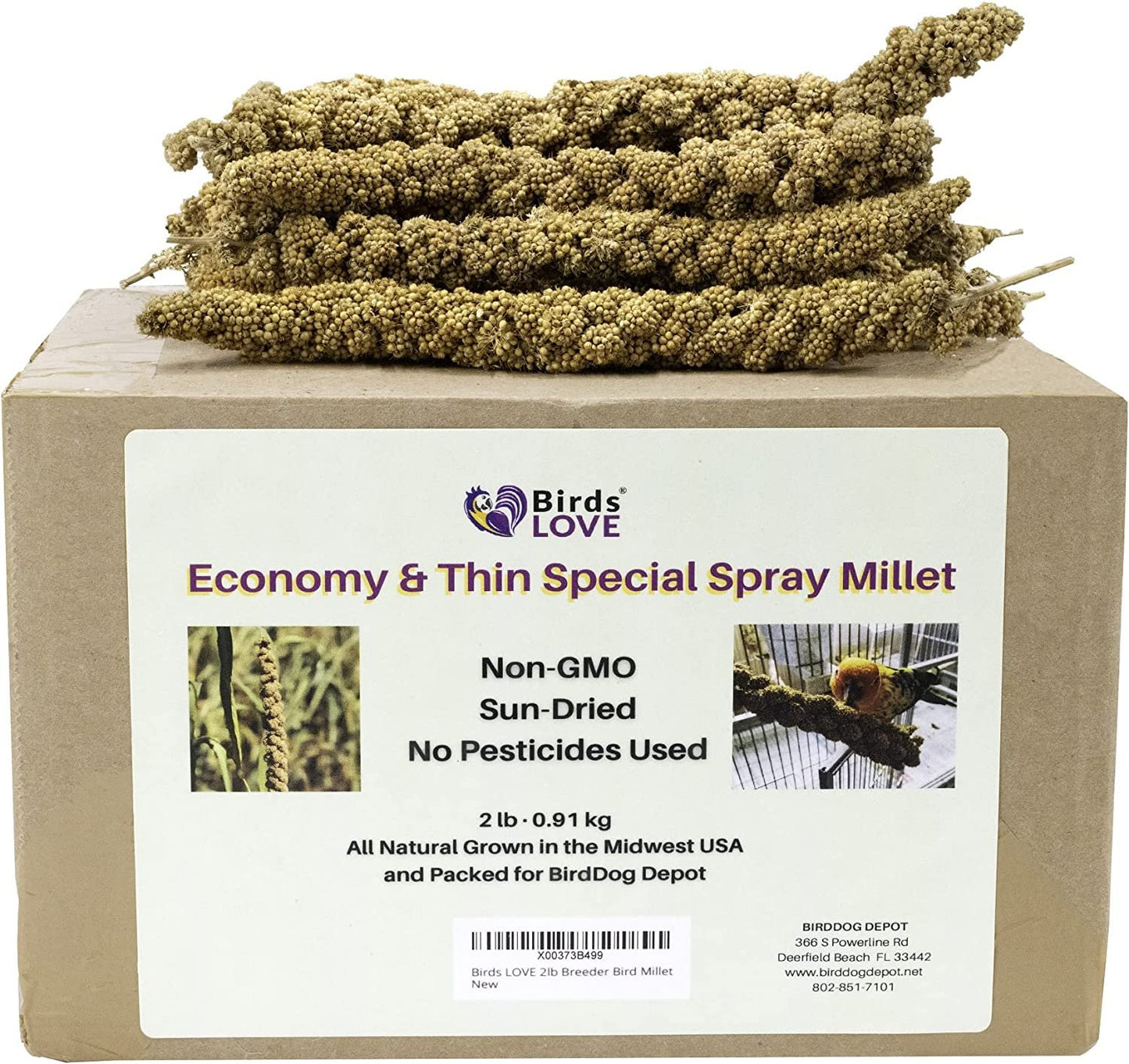 Birds LOVE 2lb Breeder Bird Millet