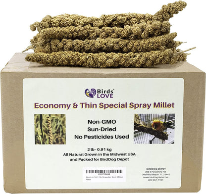 Birds LOVE 2lb Breeder Bird Millet