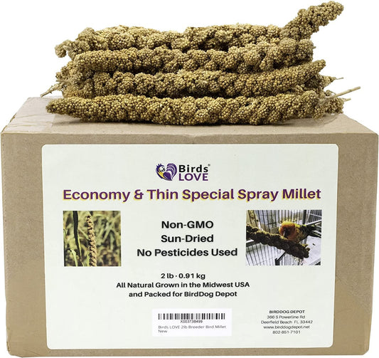 Birds LOVE 2lb Breeder Bird Millet