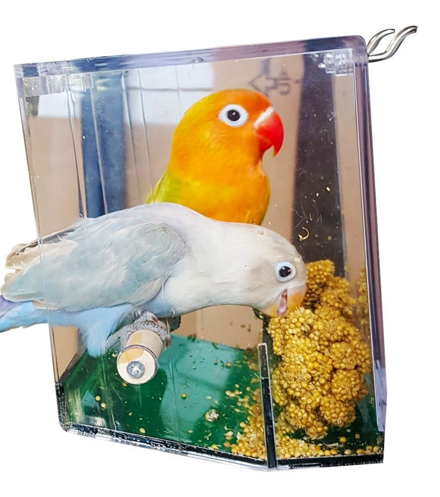 Birds LOVE No Mess Bird Feeder