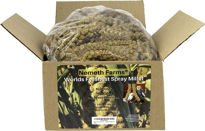 Nemeth Farms–Natural Sun Dried Millet Spray for Pet Birds–Bul2k Parrot Seed Treats and Parrot Food–Natural Non GMO Millet Spray–Cockatiels Lovebirds Parakeet 2 lbs.